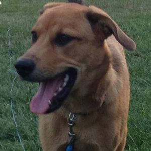 Meet your Posher, Paula